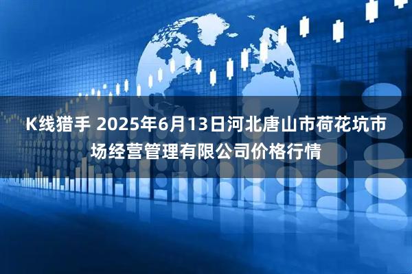 K线猎手 2025年6月13日河北唐山市荷花坑市场经营管理有限公司价格行情