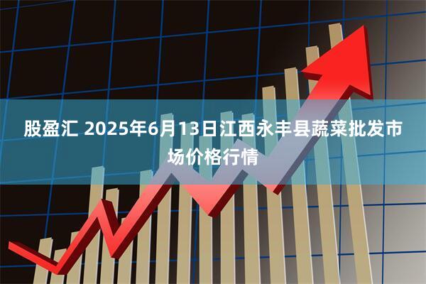 股盈汇 2025年6月13日江西永丰县蔬菜批发市场价格行情